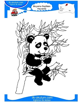 Çocuklar İçin Panda Boyama Sayfaları 